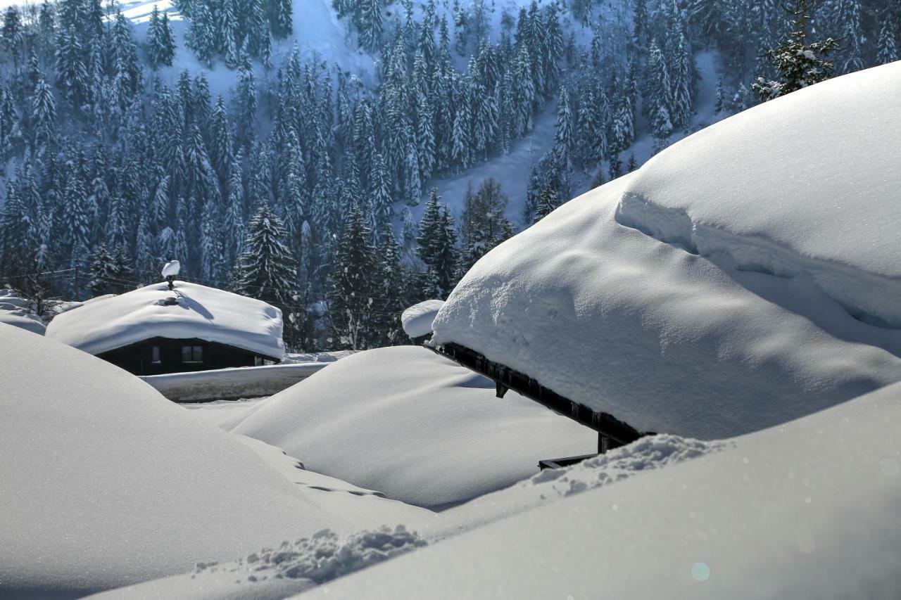 Studio "Children Of Powdersnow" Mühlbach am Hochkönig Εξωτερικό φωτογραφία